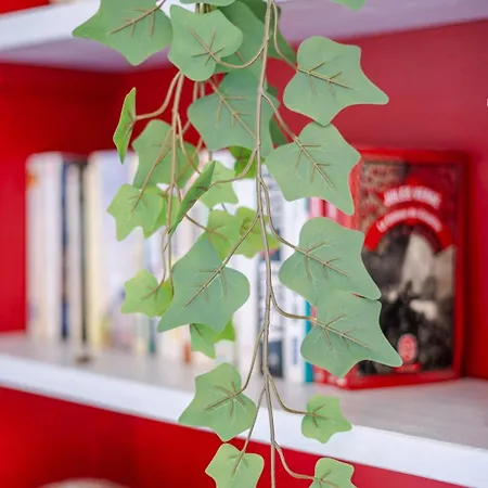 Le Petit Indus 公寓 *