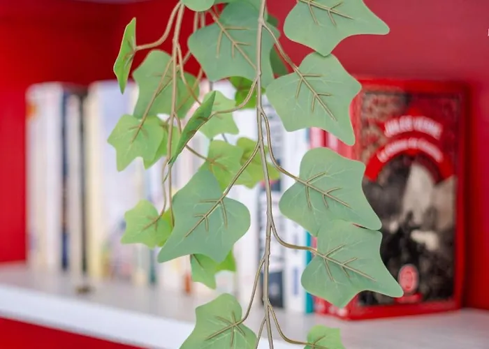 Le Petit Indus Daire *